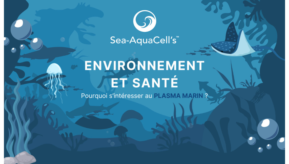 Environnement et santé : pourquoi s’intéresser au plasma marin ?